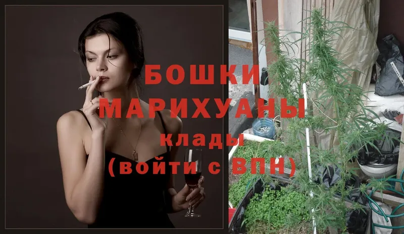 МАРИХУАНА гибрид  купить наркоту  Кола 